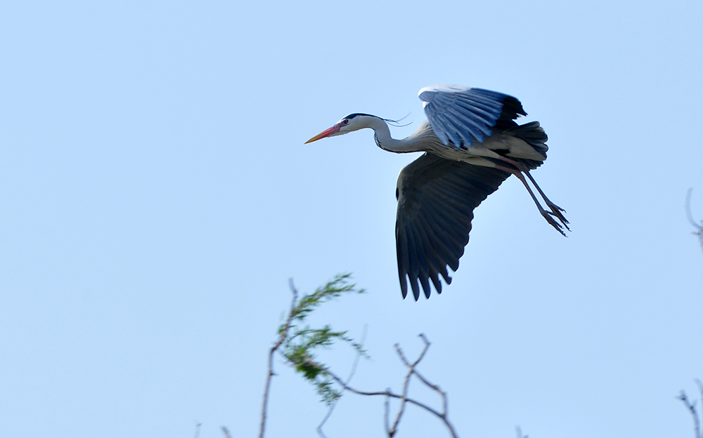 DSC_0070.JPG