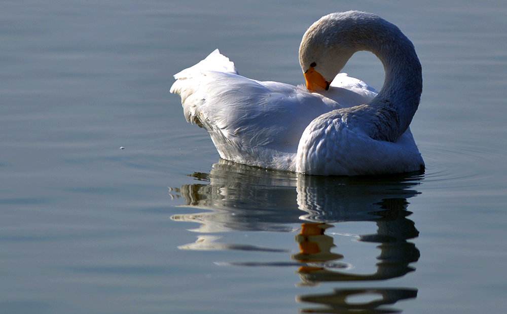 DSC_5488.JPG