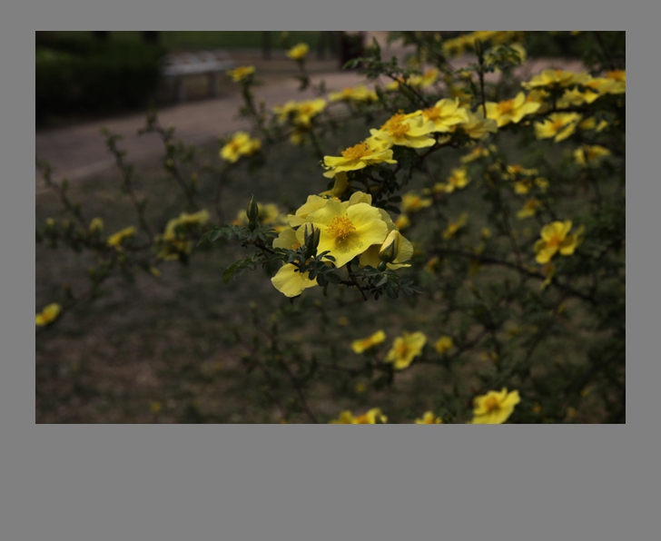 IMG_0463_.jpg