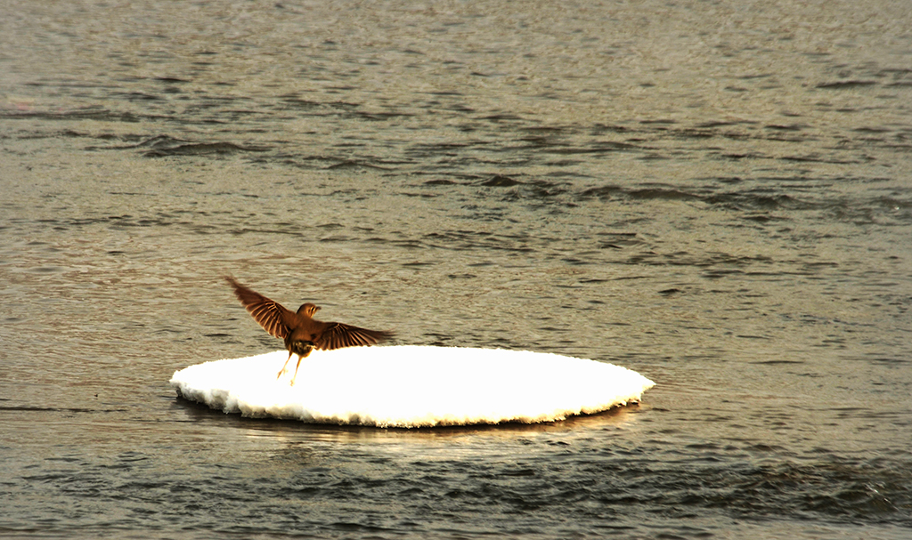 DSC_4728.JPG