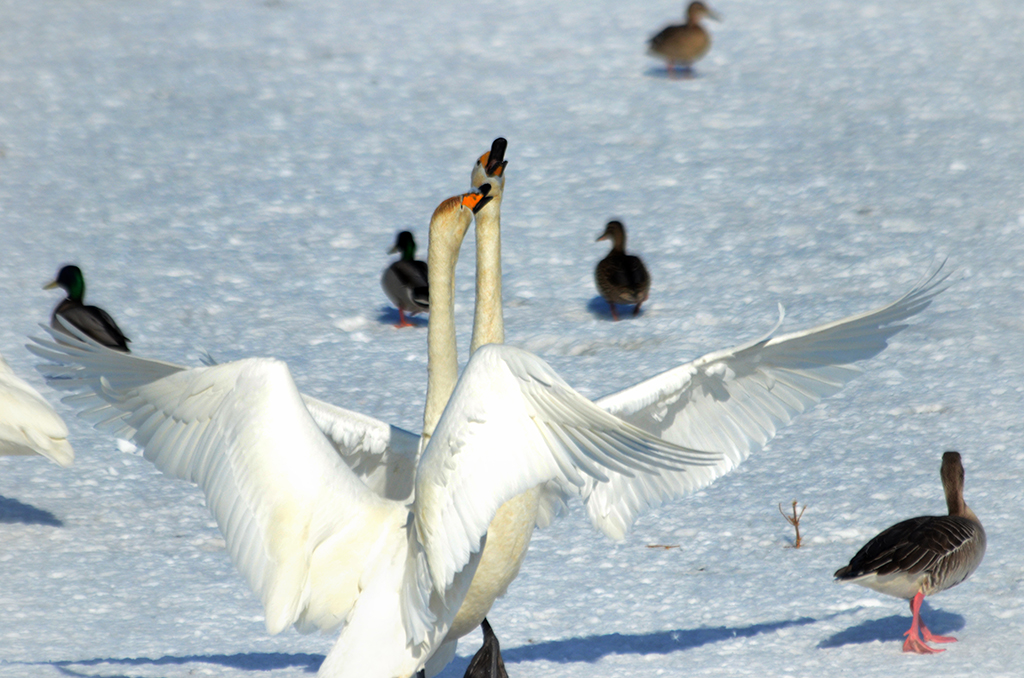 DSC_3183.JPG