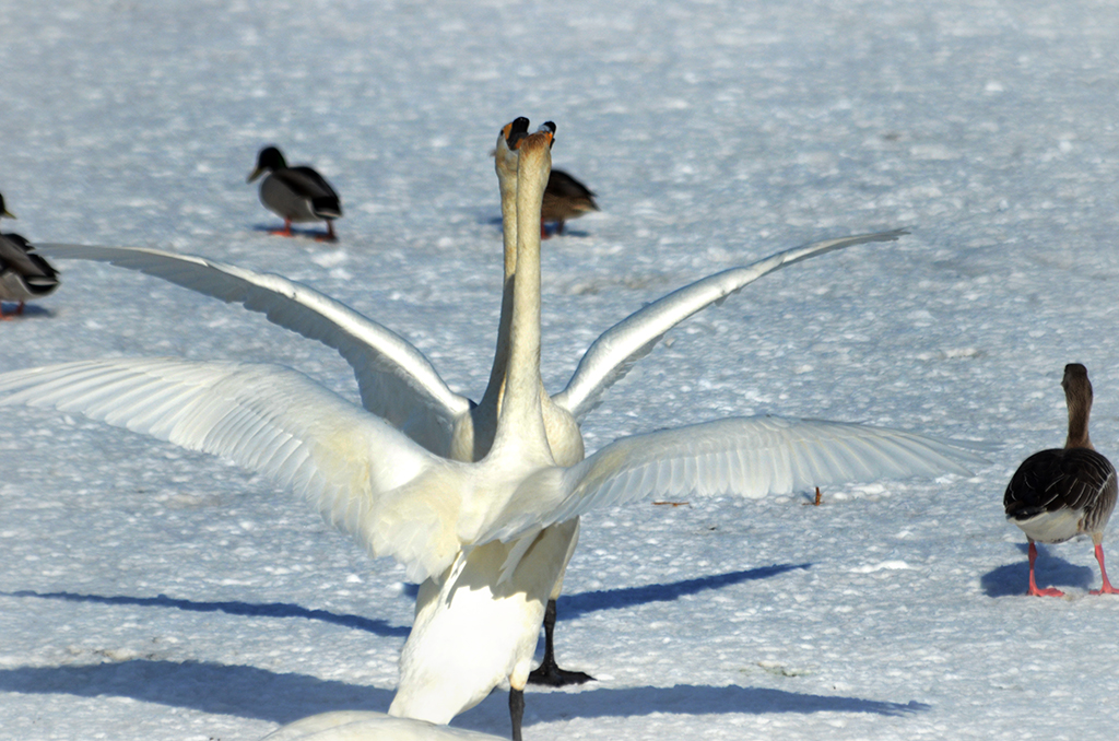 DSC_3190.JPG