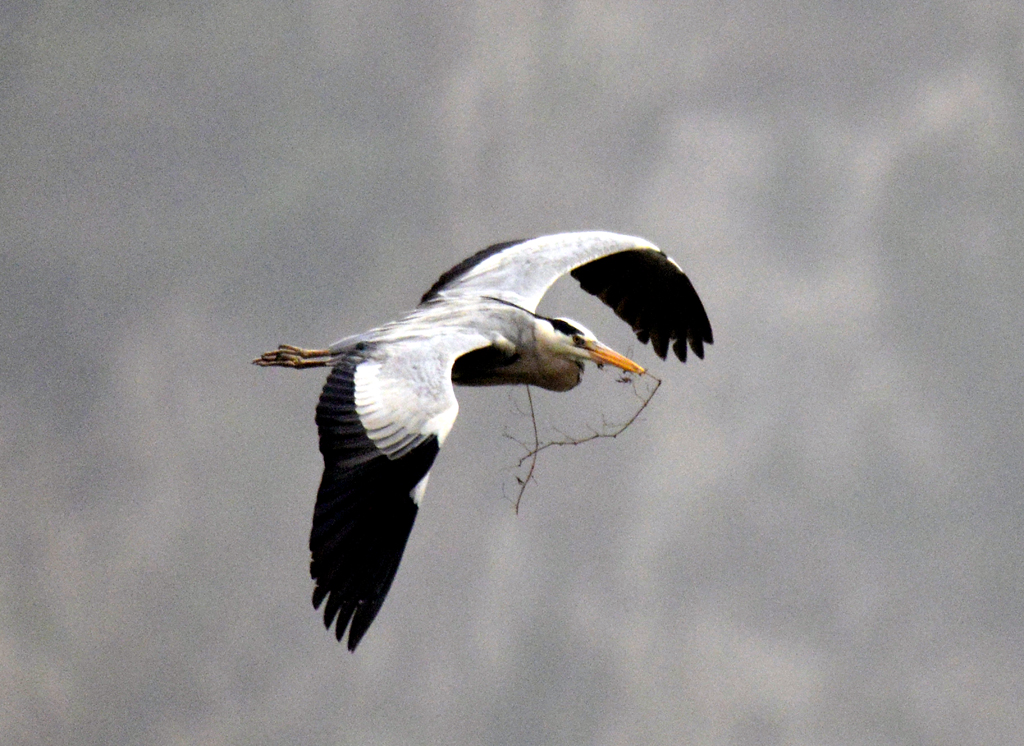 _DSC3678=.jpg