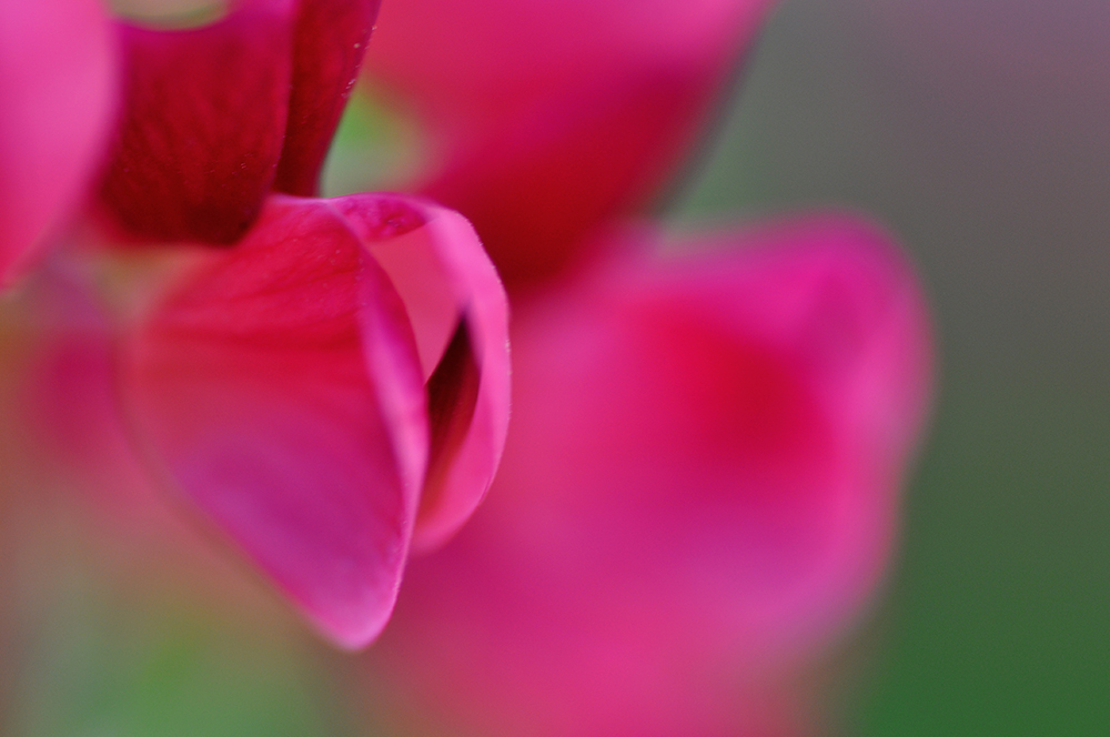 DSC_0082.JPG