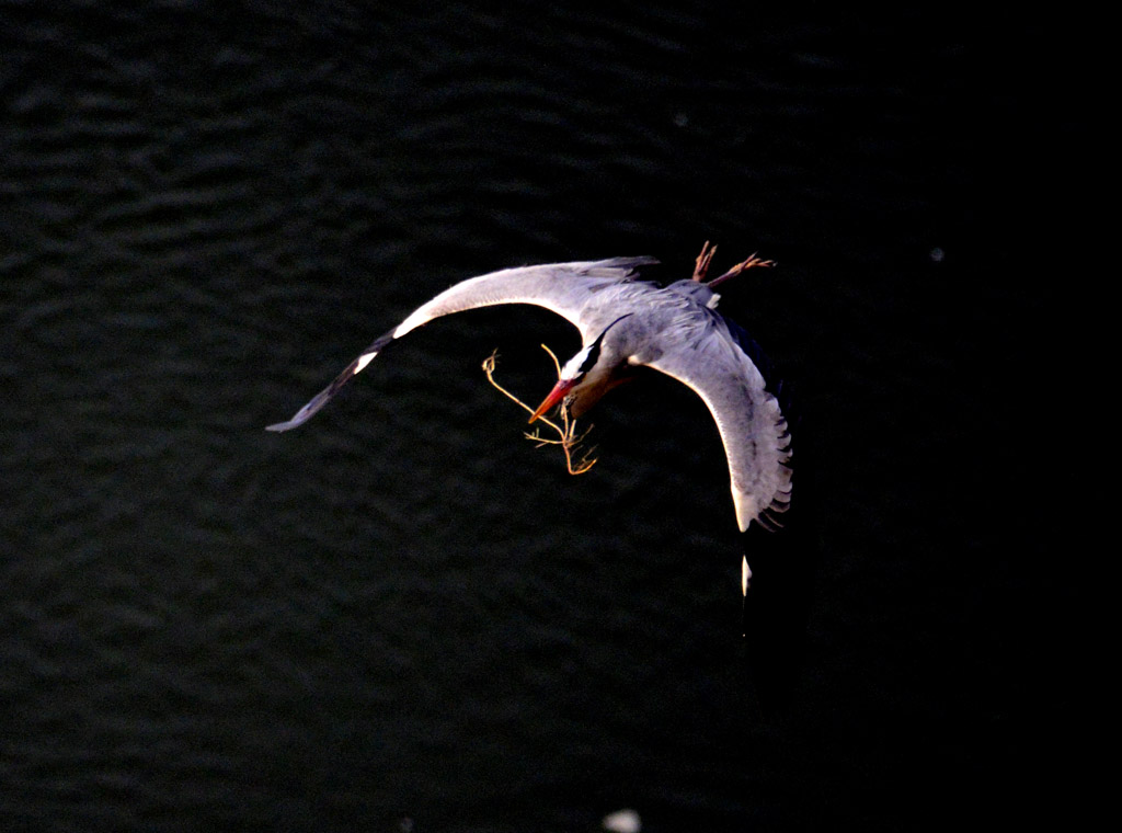 _DSC5997=.jpg