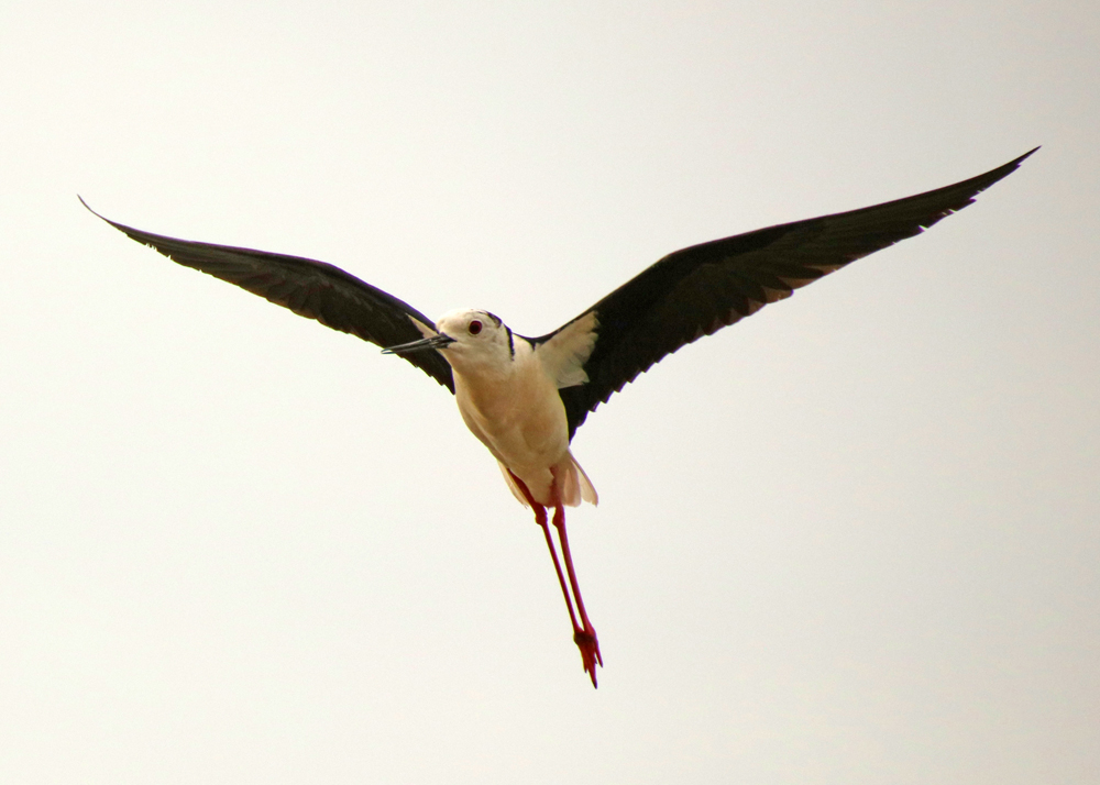 0Y6A7217.JPG