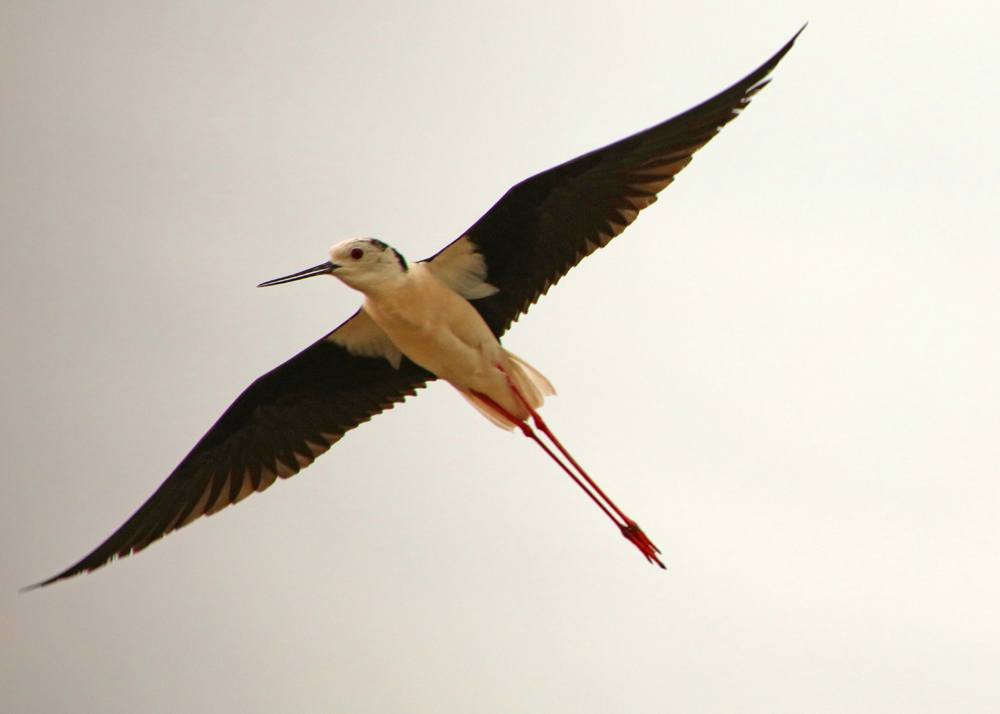 0Y6A7219.JPG