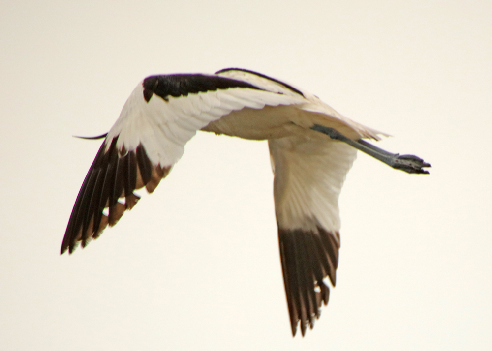0Y6A7549.JPG