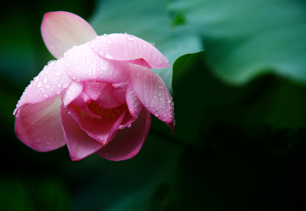 DSC_1013.jpg