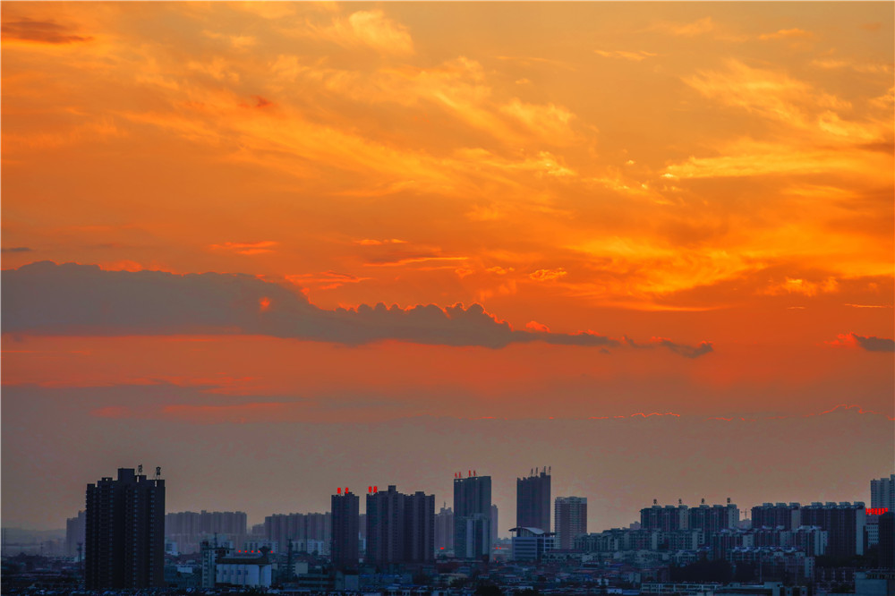 _54A9506.jpg