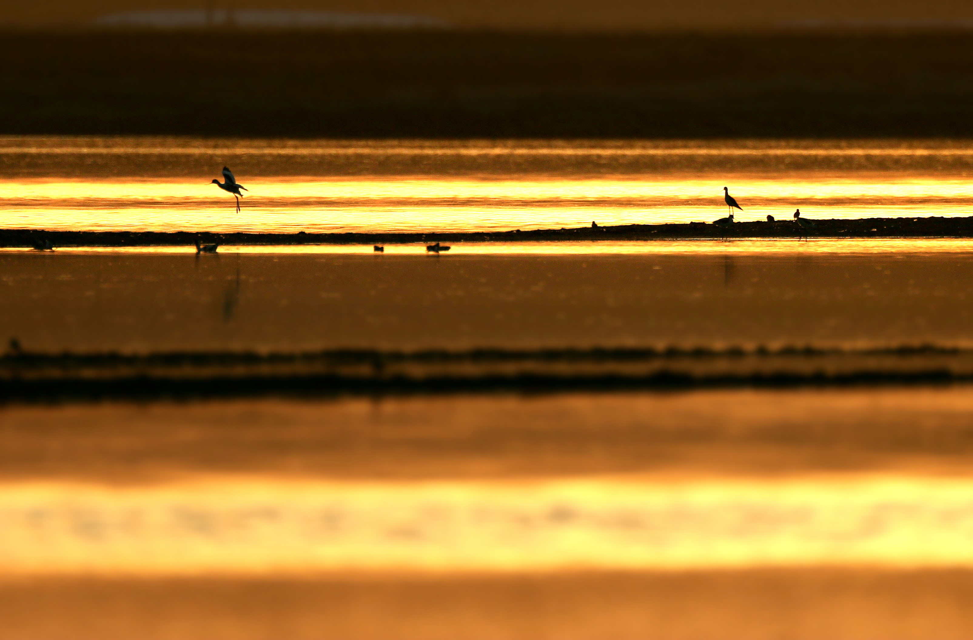 DI9A8103.jpg