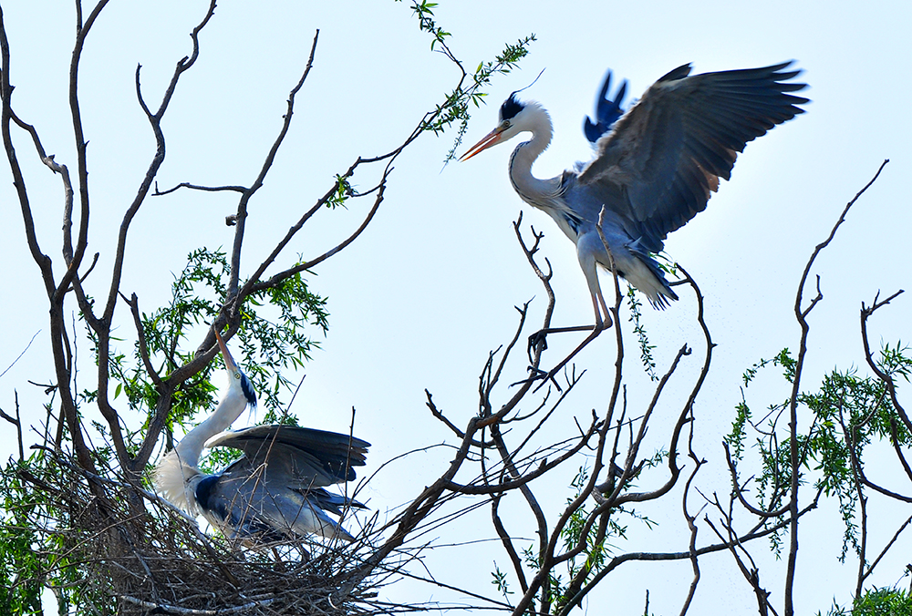 DSC_0148.JPG