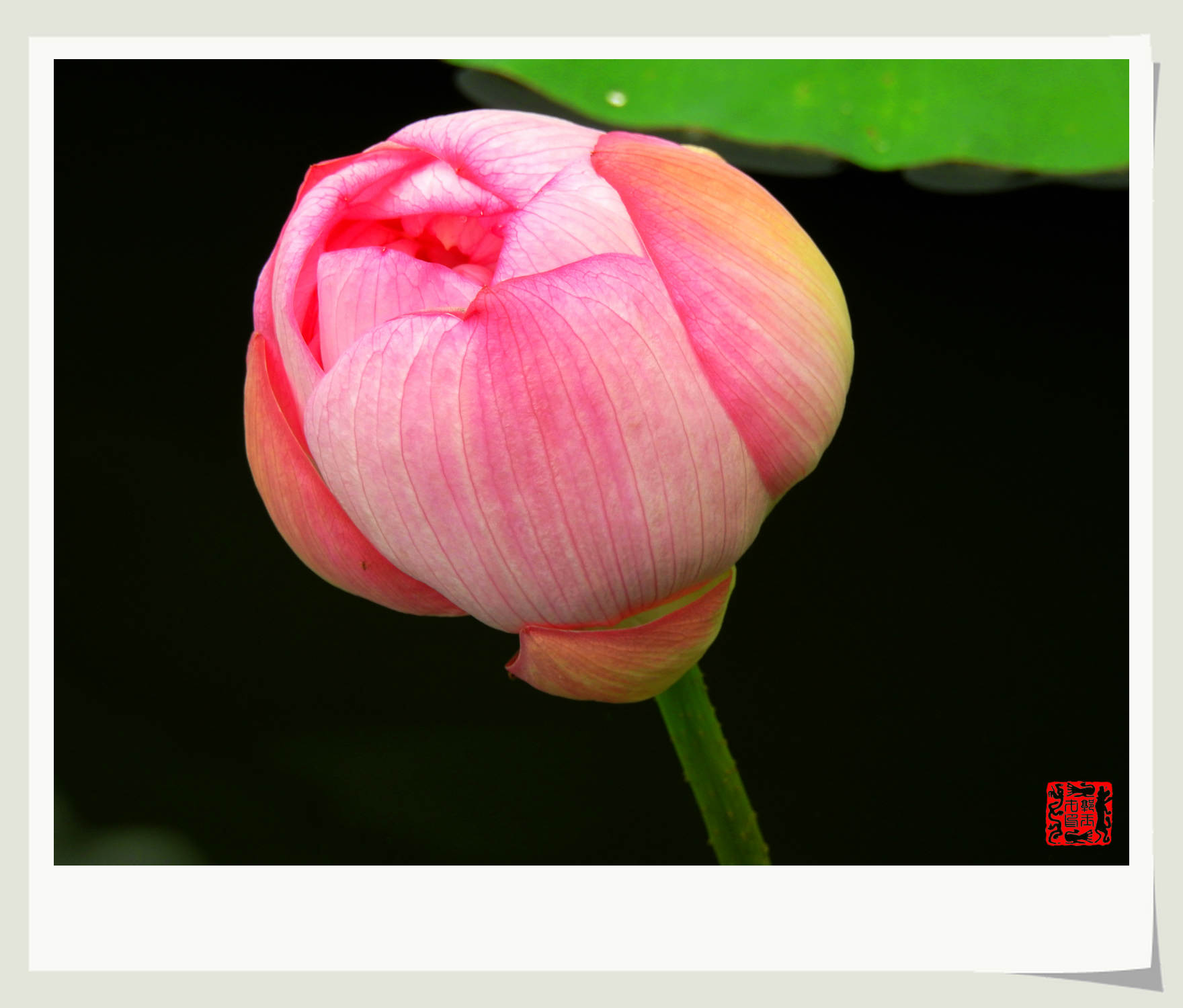 DSCN5149.jpg
