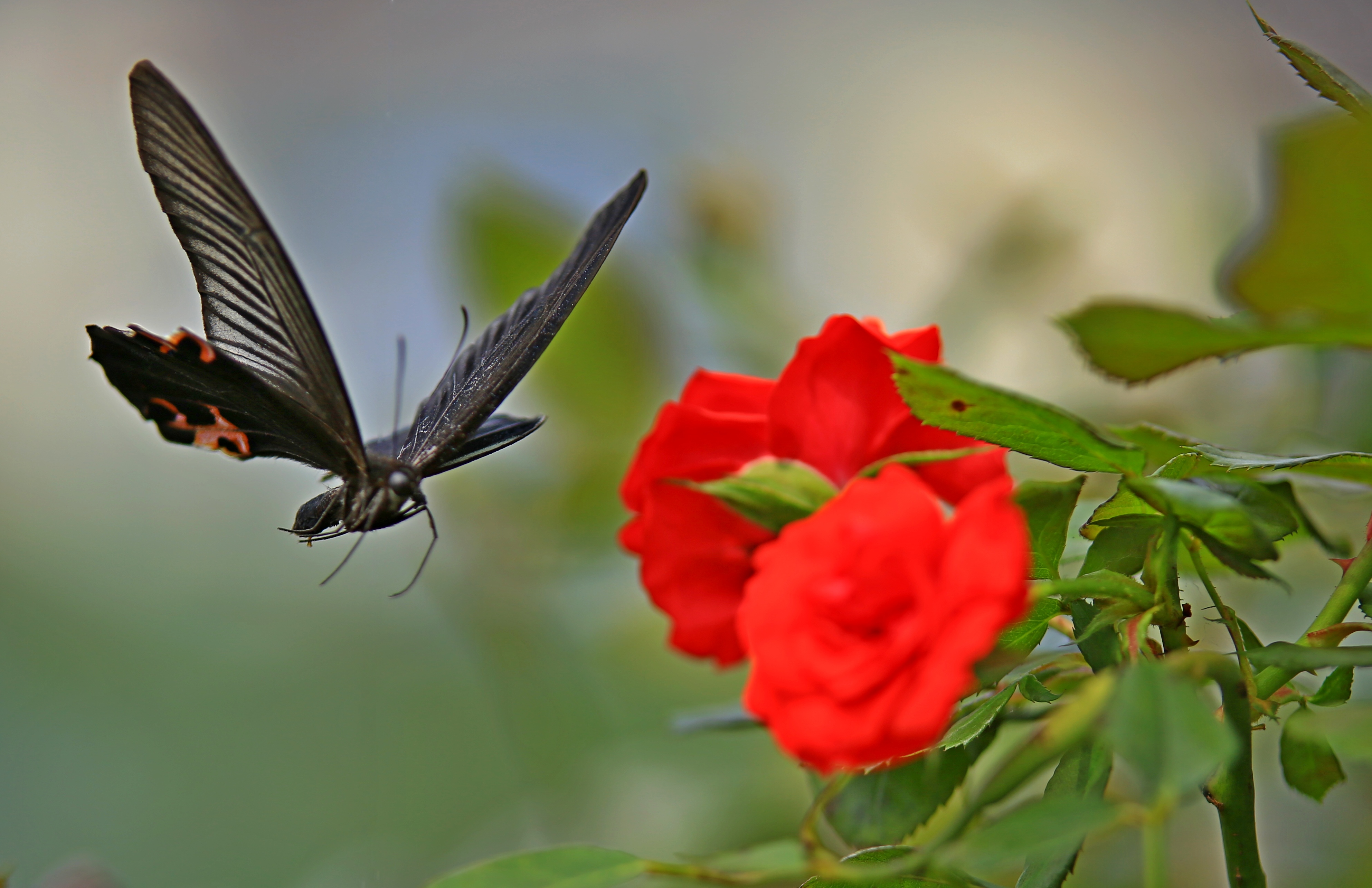 4U4A02140.jpg