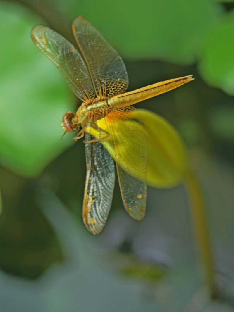 4U4A018900.jpg
