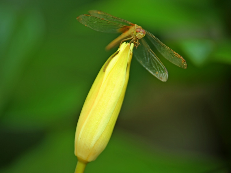 4U4A020200.jpg