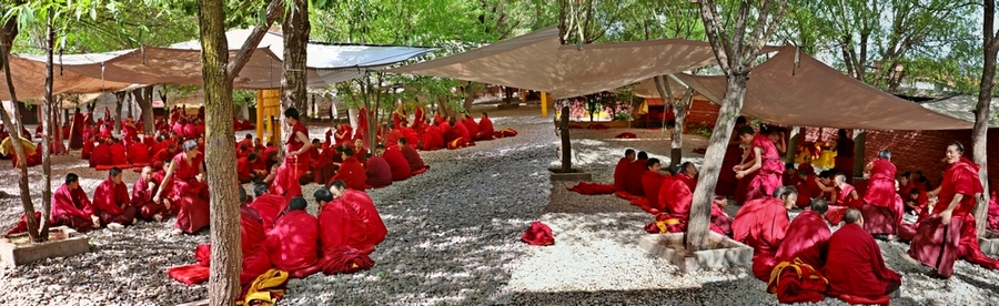 ǿ10.jpg