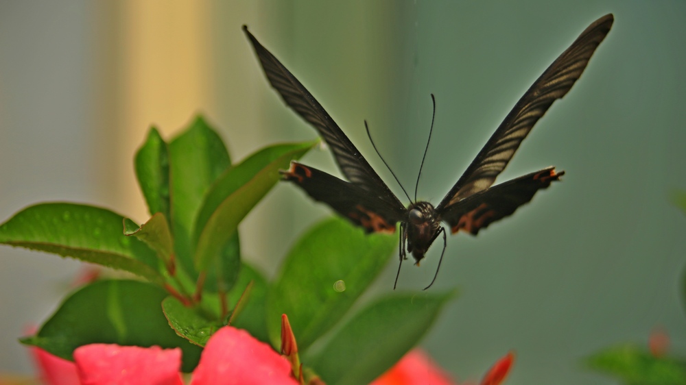 4U4A00920Ѱ0.jpg