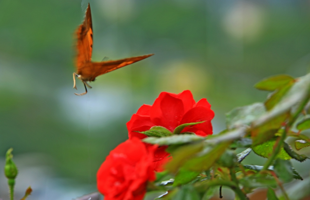4U4A01470.jpg