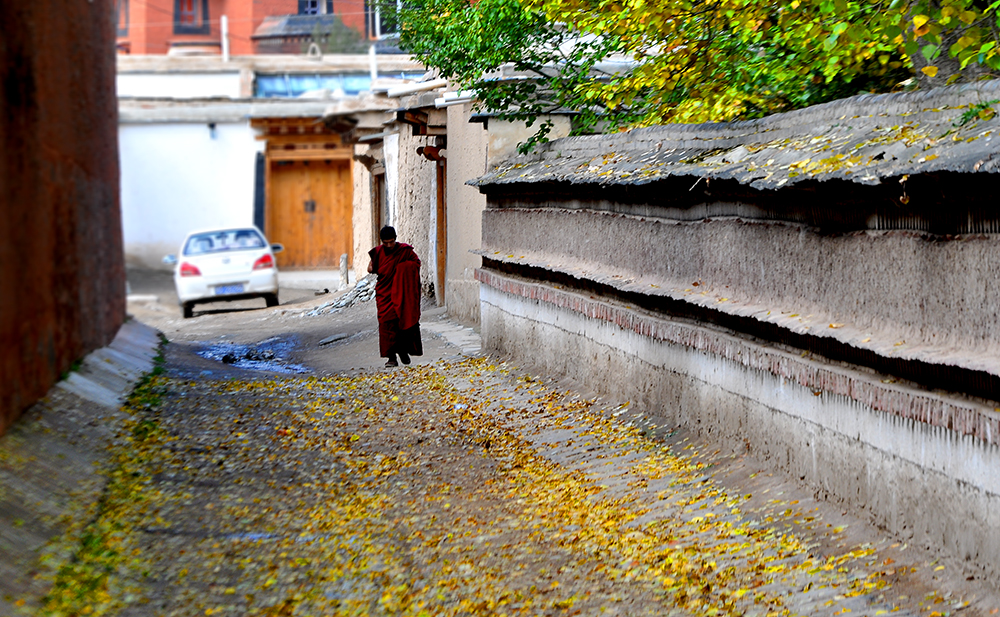 DSC_0037.JPG