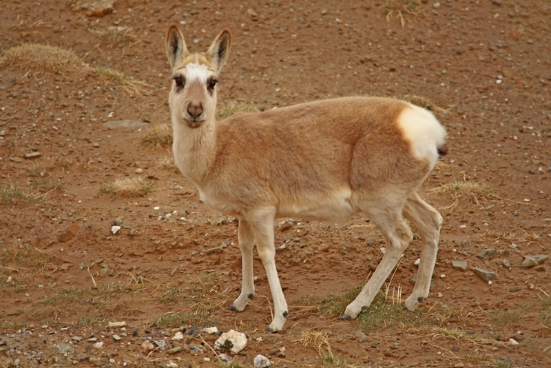 4U4A09780.jpg