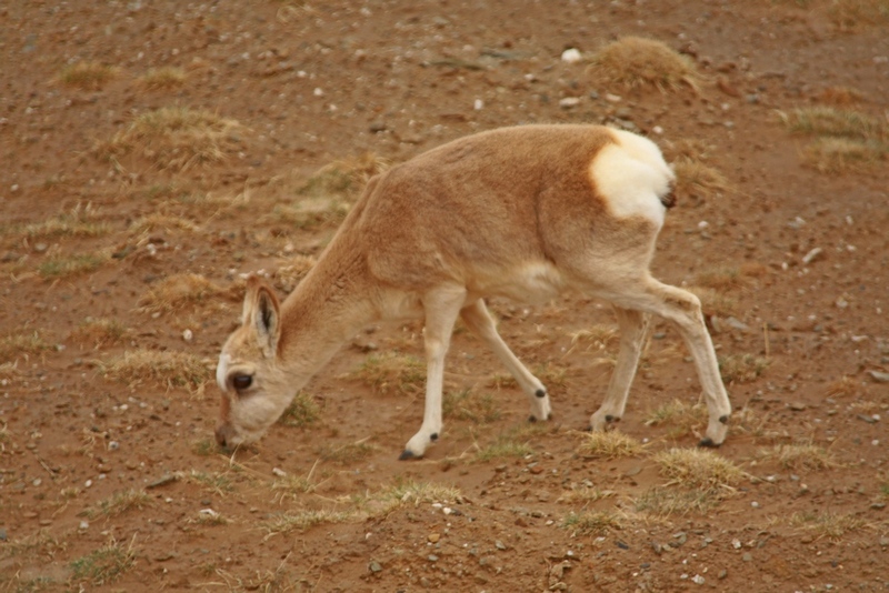 4U4A09860.jpg