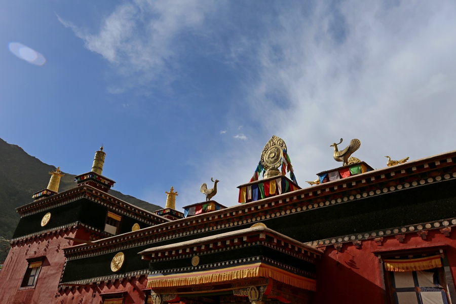 4U4A02950.jpg