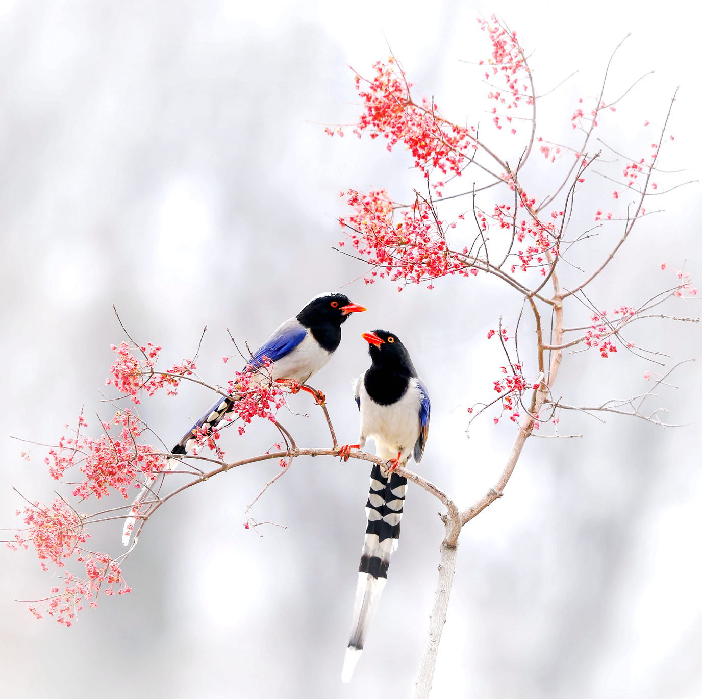 168A0553____.jpg