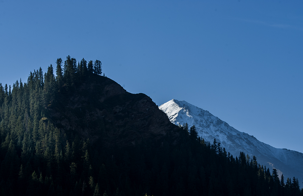 DSC_0825.jpg