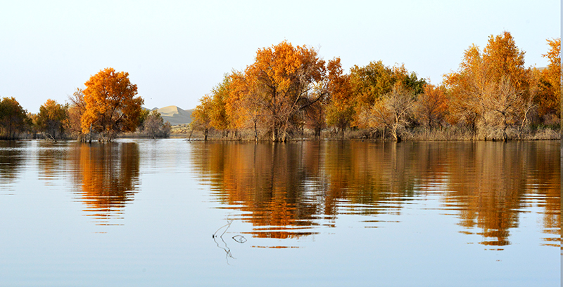 DSC_0356.JPG
