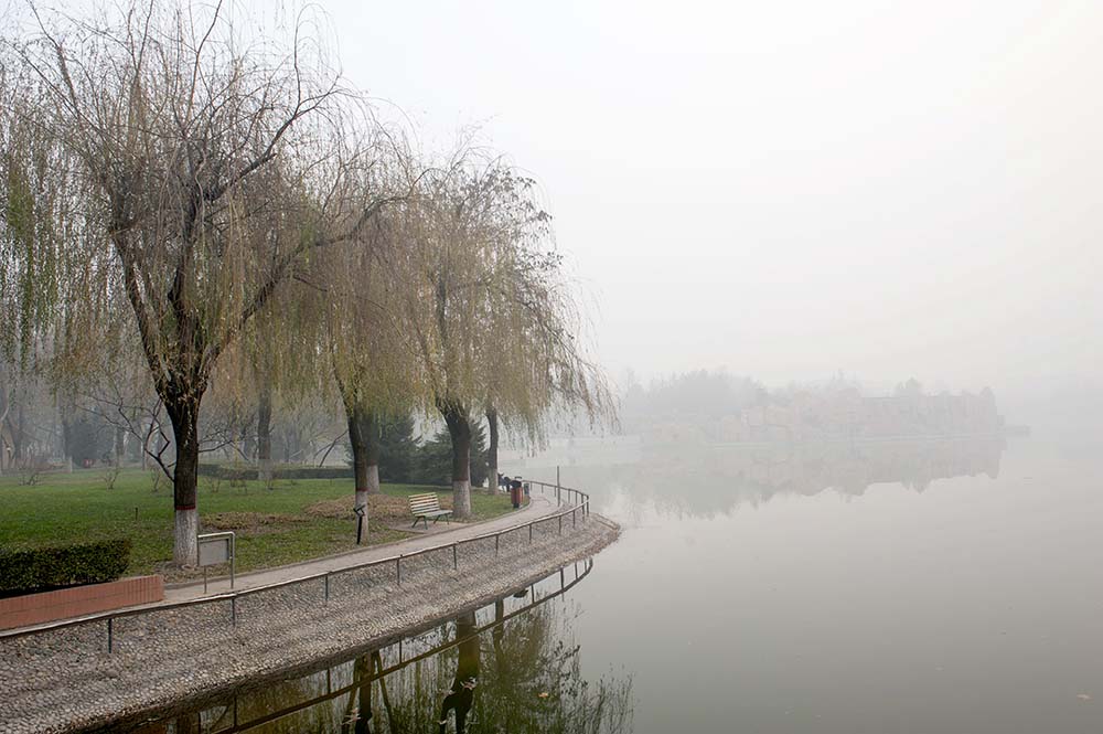 DSC_8608-1.jpg