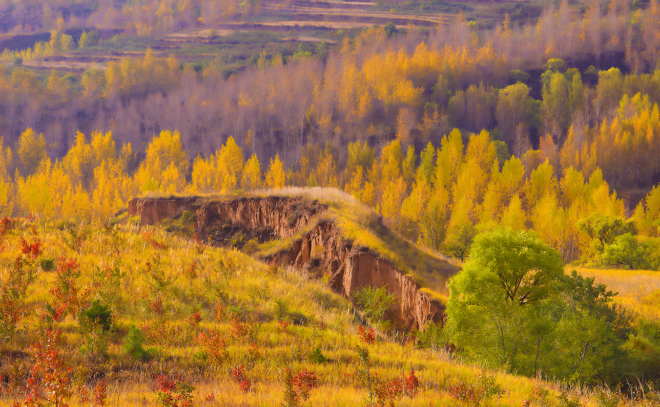 DSC_5158--С.jpg