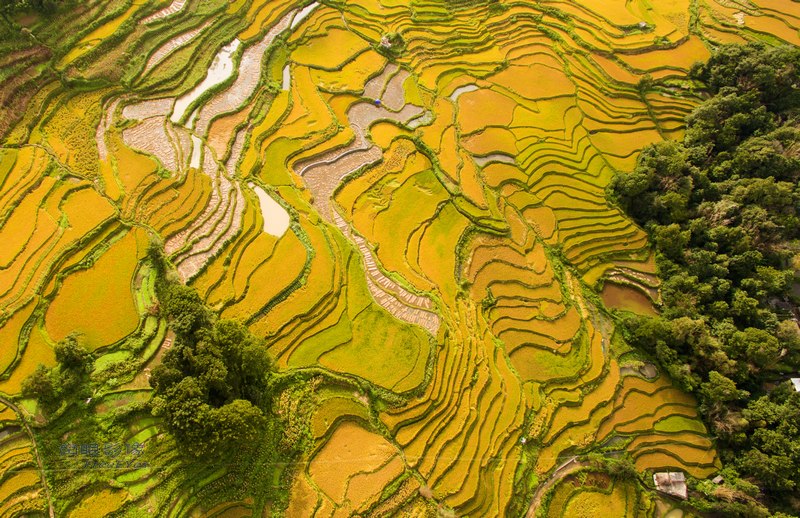 DJI_0583.jpg