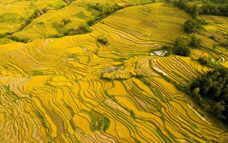 DJI_0608.jpg