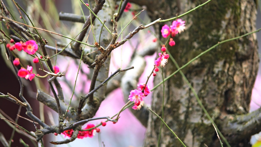 4U4A09290.jpg