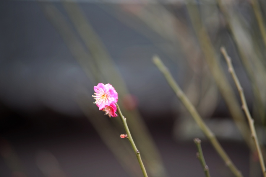 4U4A09350.jpg