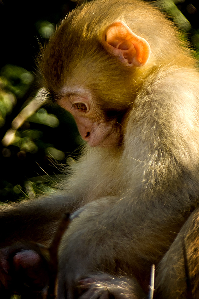 DSC_0584.jpg