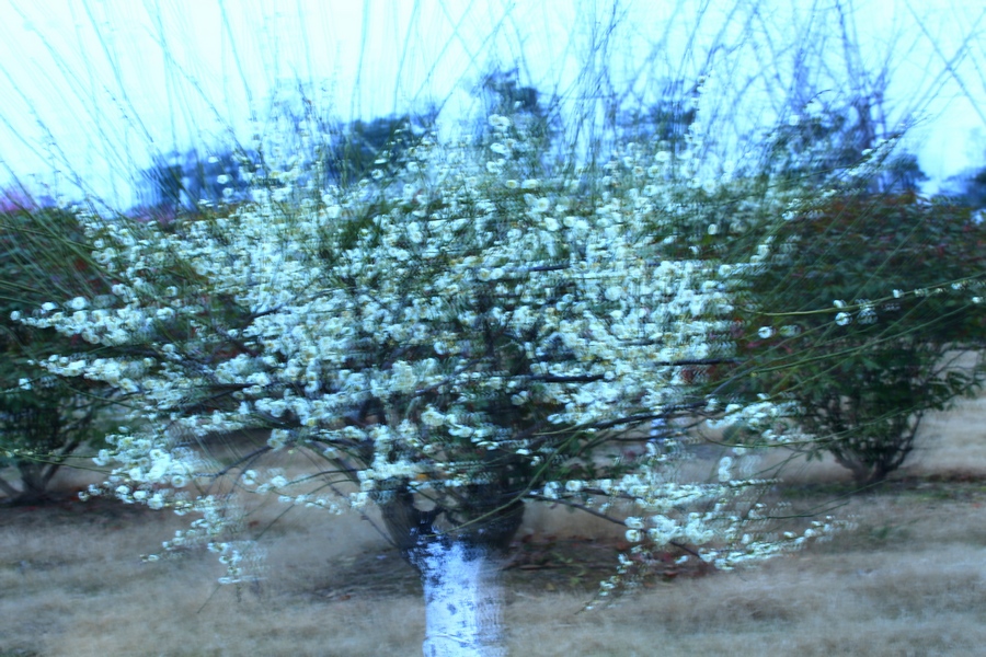 4U4A01860.jpg