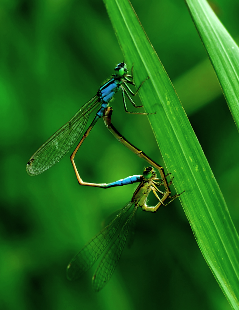 DSC_1676.JPG
