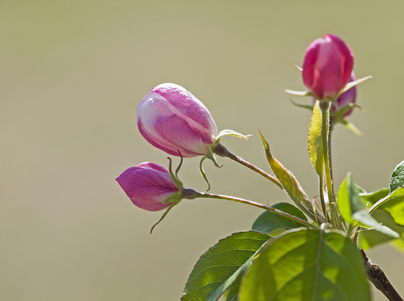 _DSC7457--С.jpg