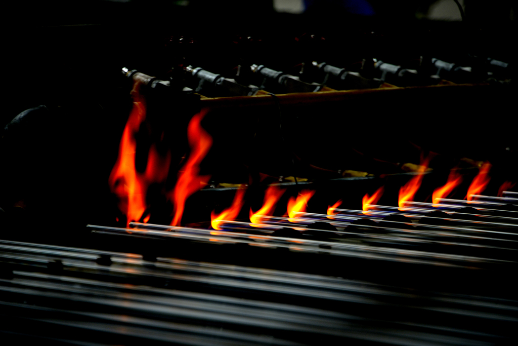 _DSC8591.jpg