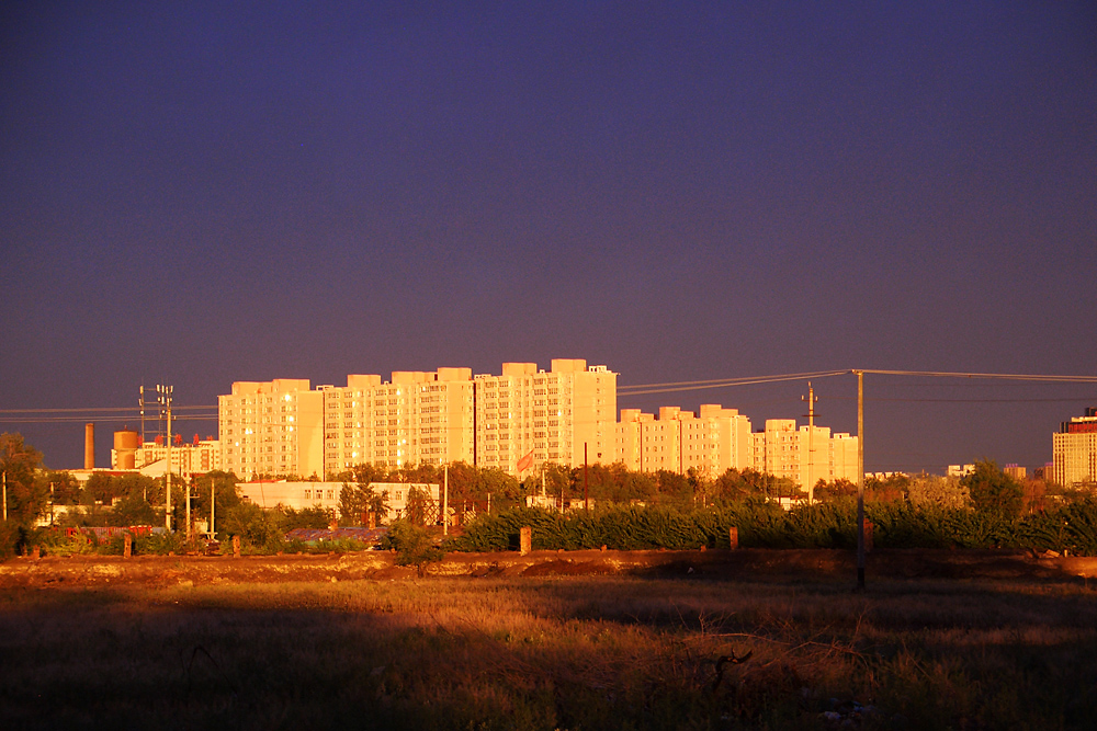 CIMG5650.jpg