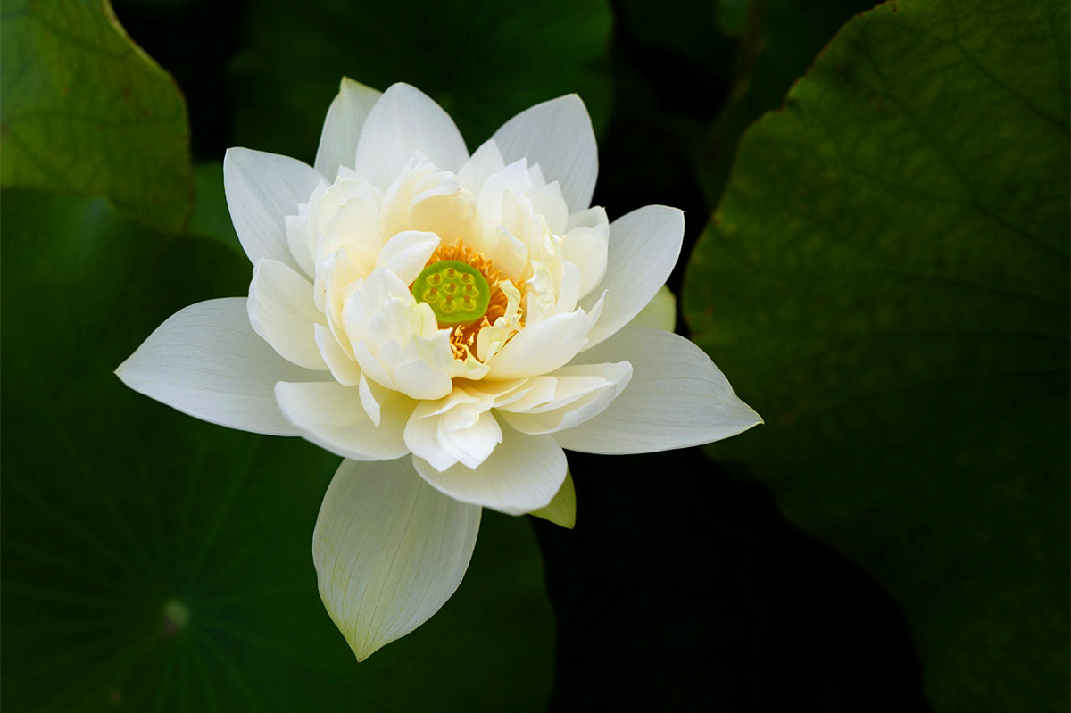 L1100562_.jpg