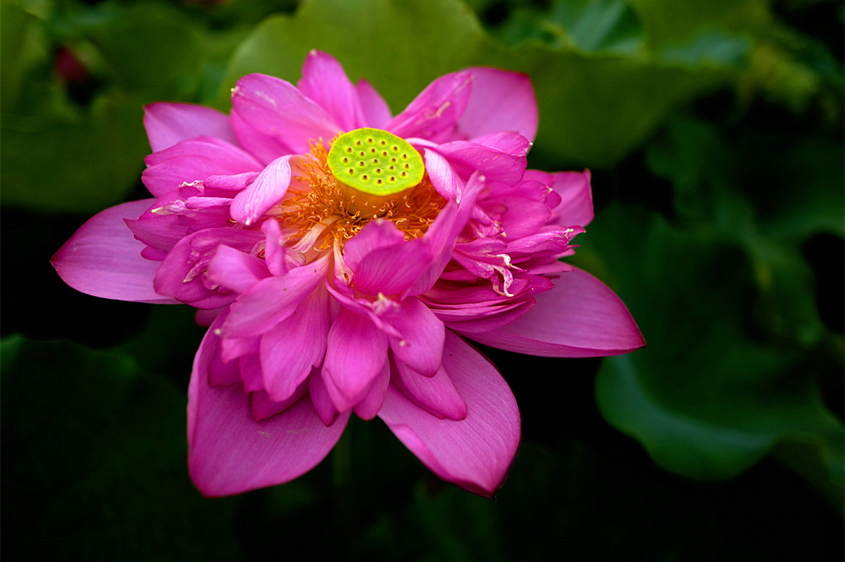 L1100589_.jpg