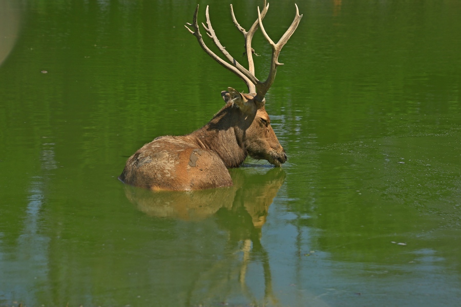 4U4A00620.jpg