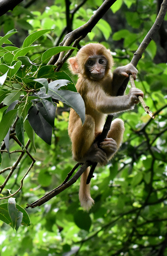 DSC_0134.JPG
