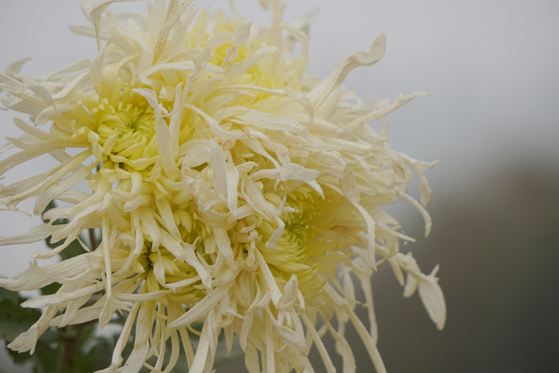 DSC00304_.jpg