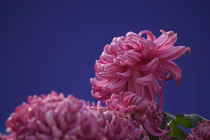 DSC00369_.jpg