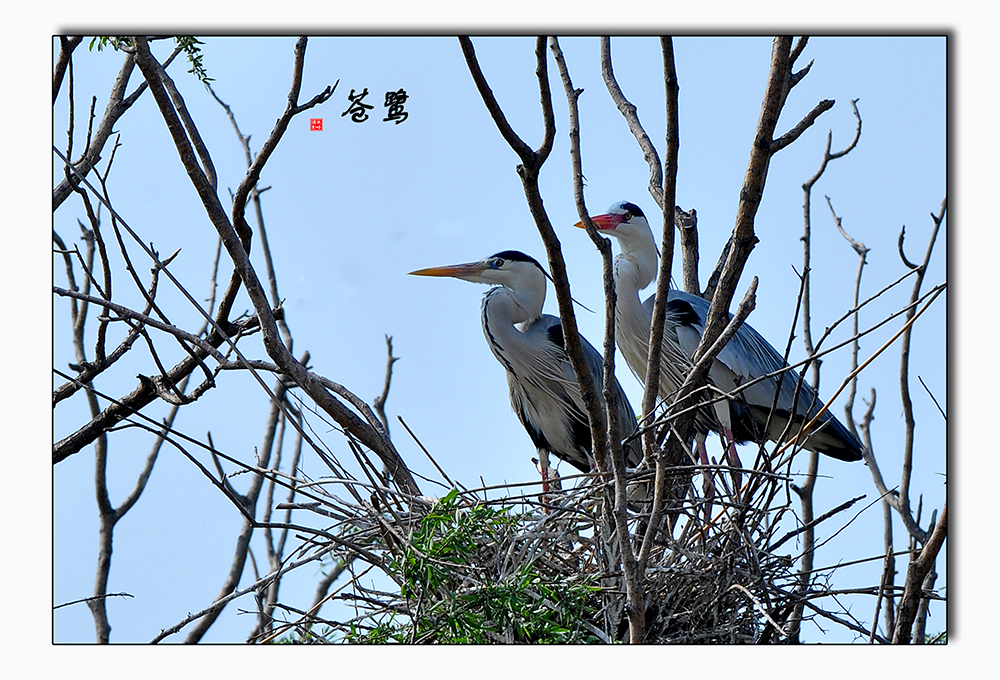DSC_0065.JPG