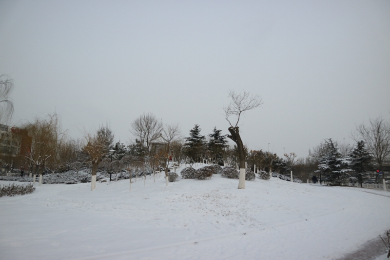 IMG_9050_.jpg
